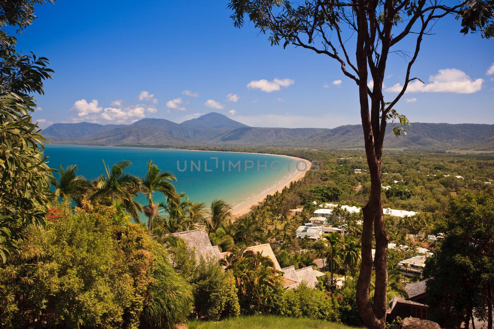 Australian coastline with golden beaches and a small settlement nestling amongst the tropical vegetation and palm trees