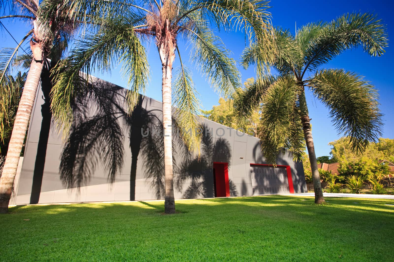 Palm trees in the landscaped garden of a modern commercial building in Cairns, Australia