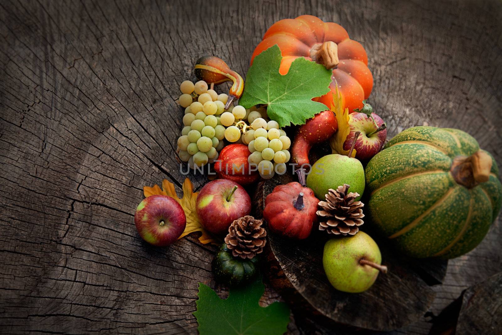 Autumn fruit by mythja