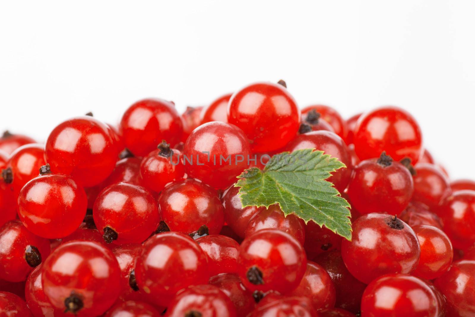 Red currants with green leaf isolated over white background