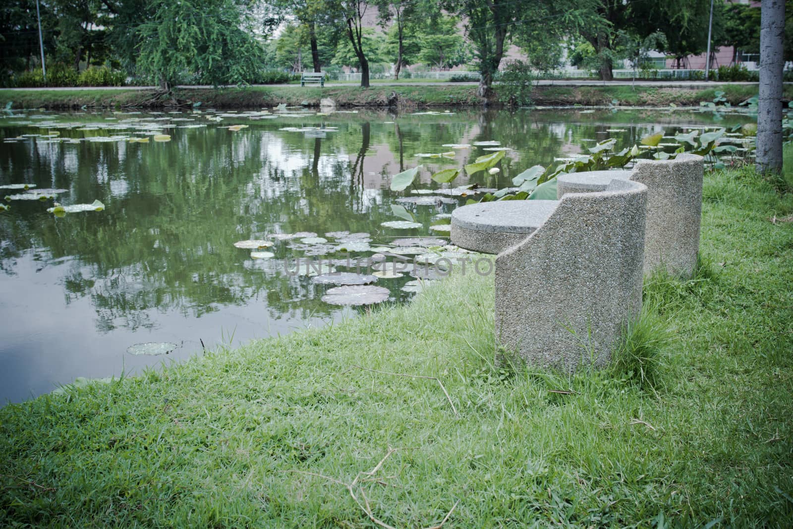 stone bench at Vachirabenjatas Park (Rot Fai Park) in Thailand - nice background
