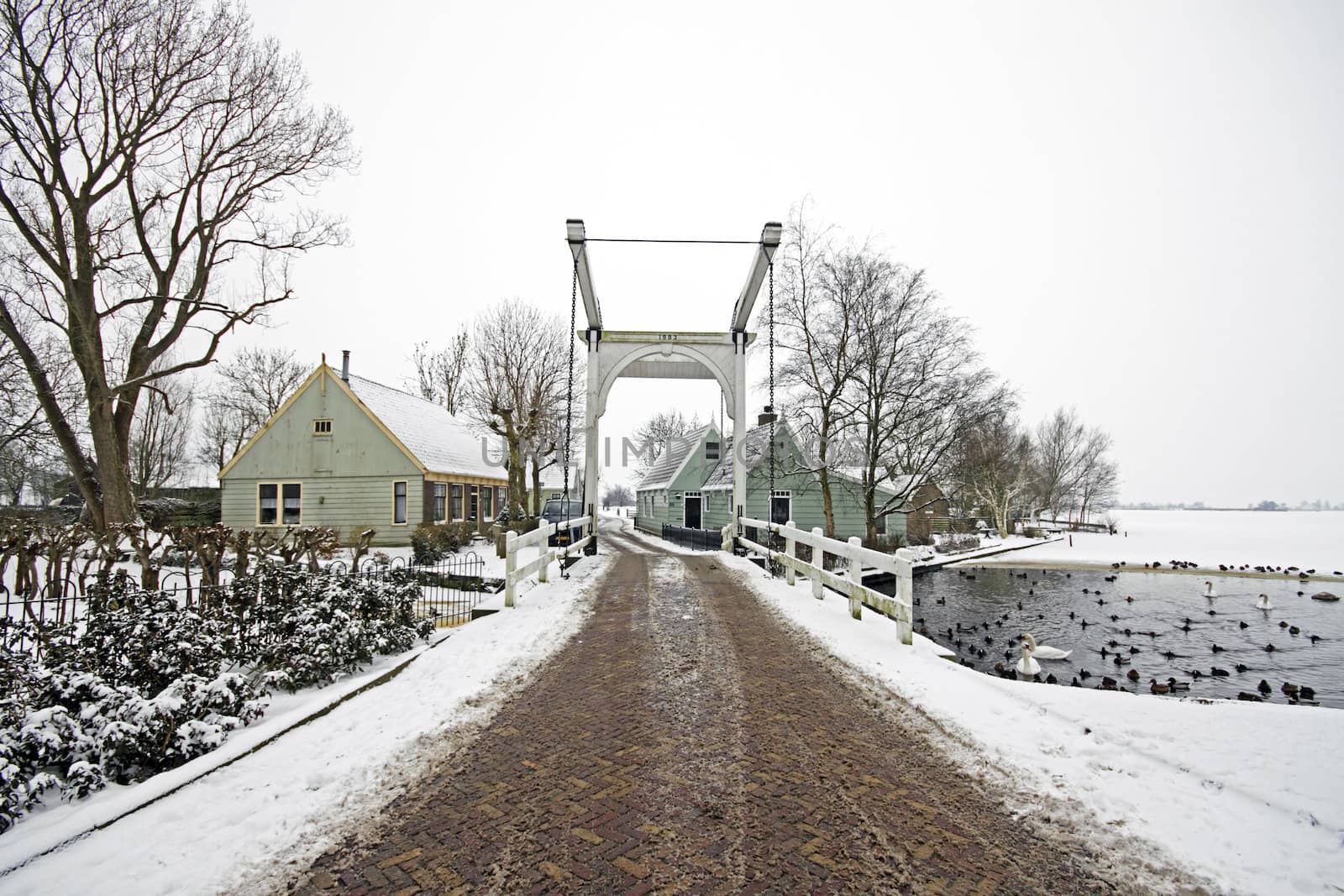 Winterlandscape in the countryside from the Netherlands