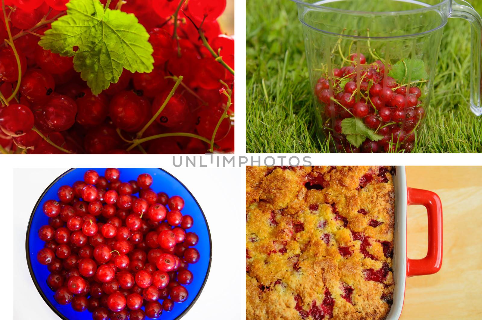 A collage with red currants in use