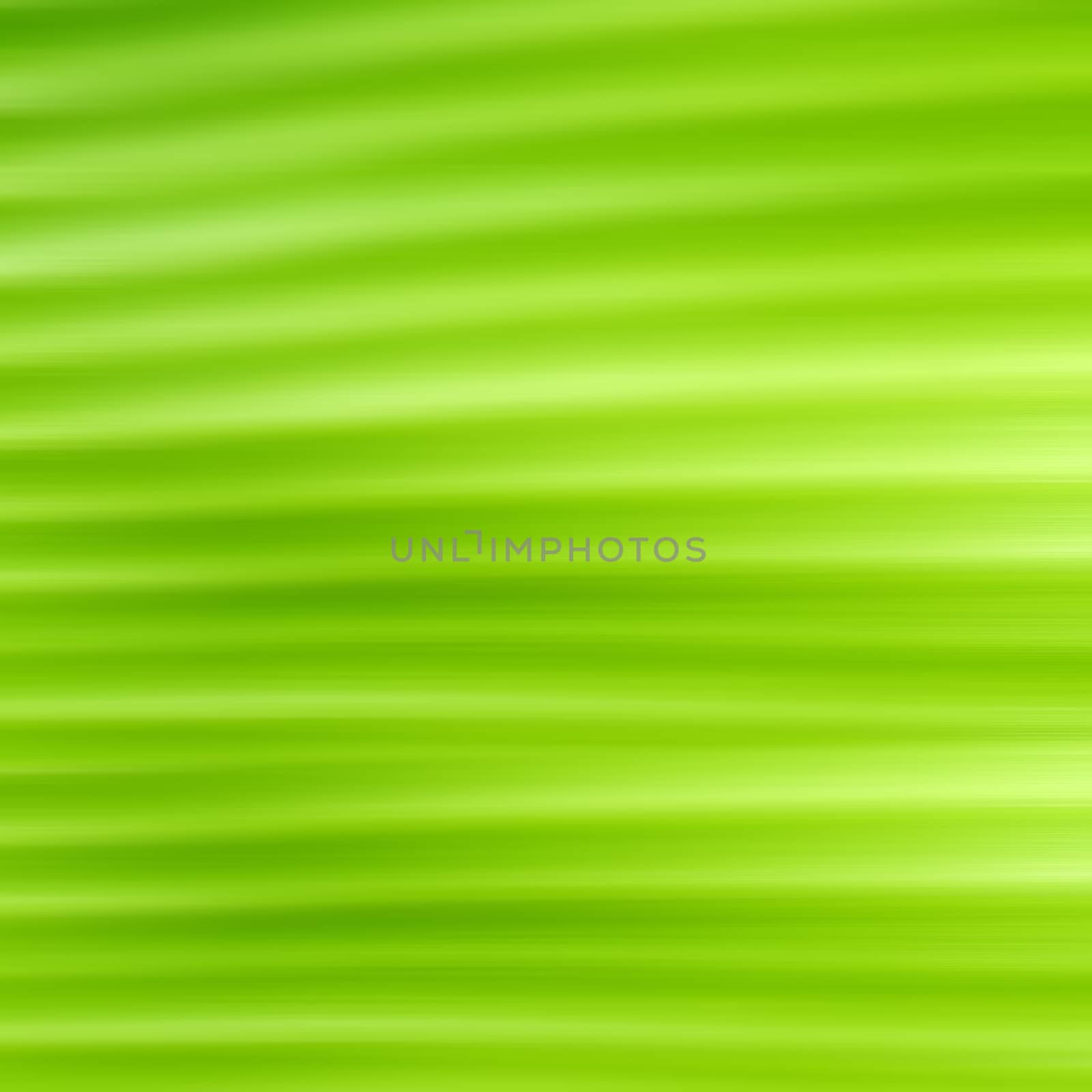 Close up of  Green Leaf for background Close up of  Green Leaf for background