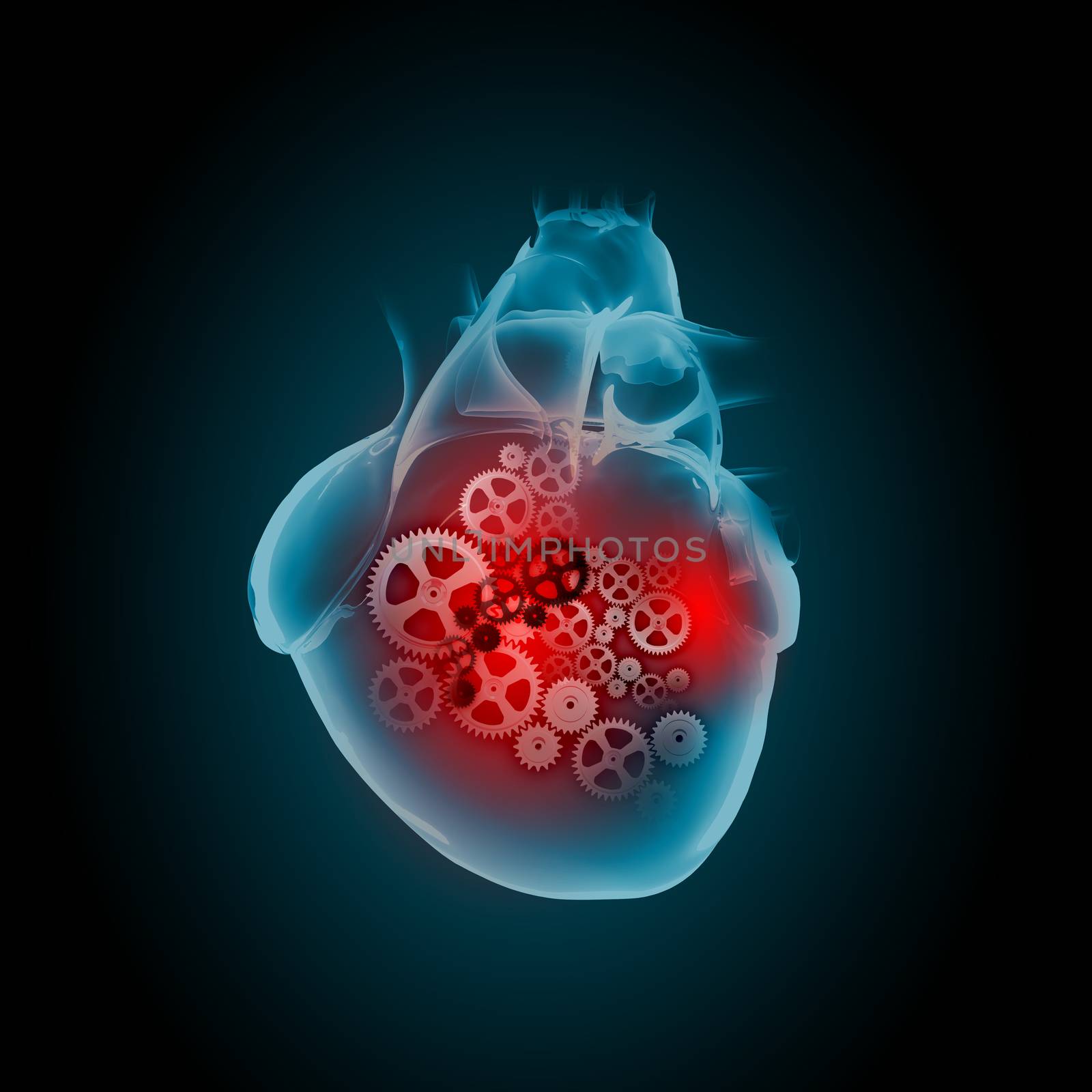 Human heart by sergey_nivens