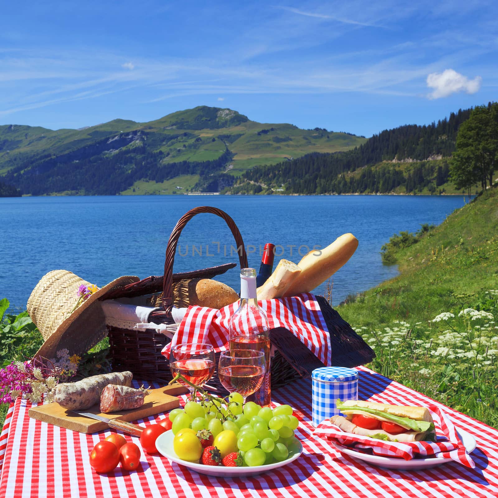 Picnic in beautiful french alpine mountain