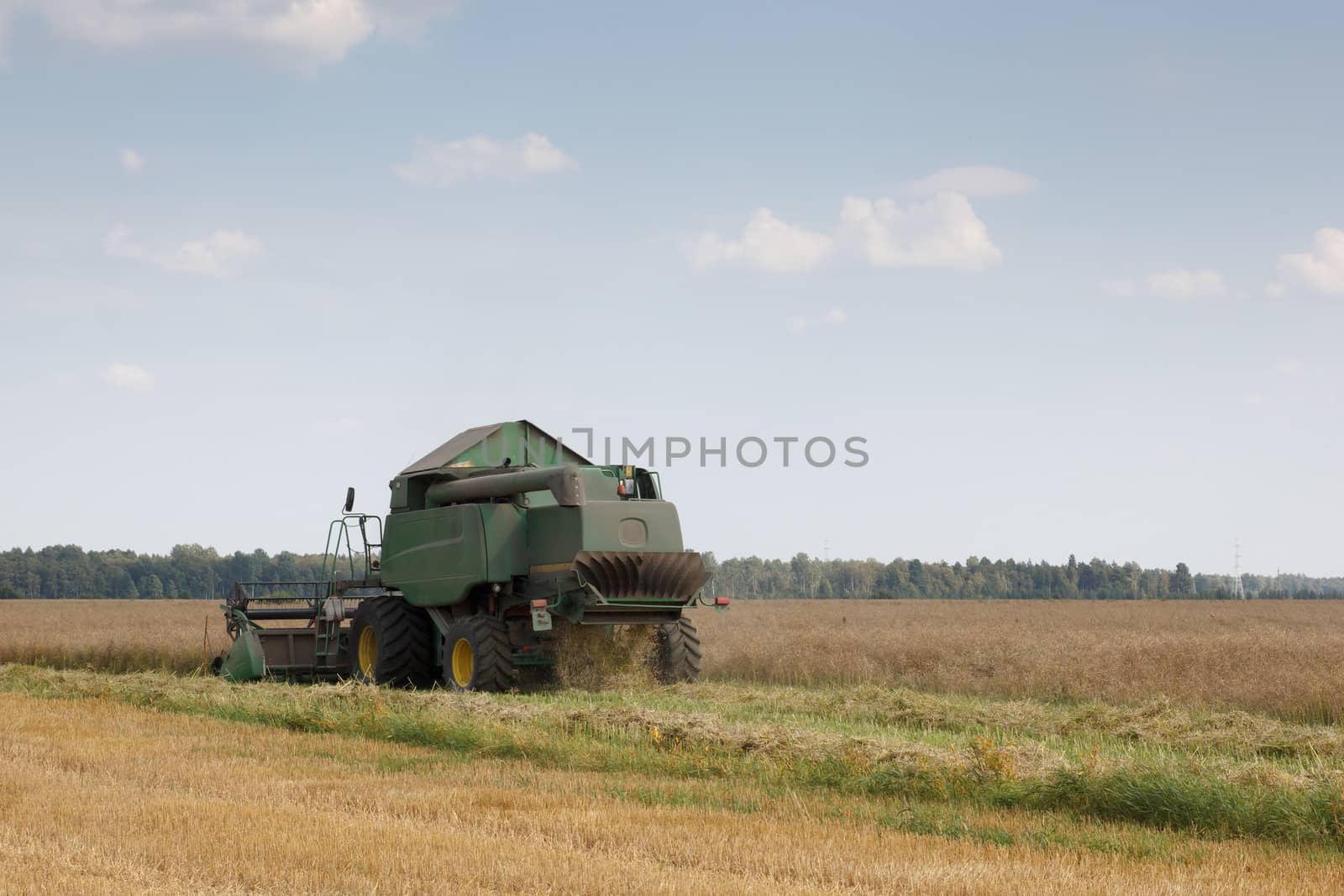 harvesting combine in the wheat field