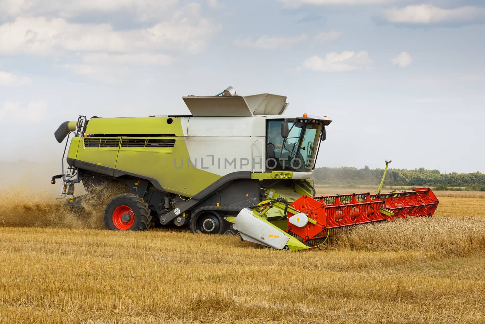 harvesting combine in the wheat field