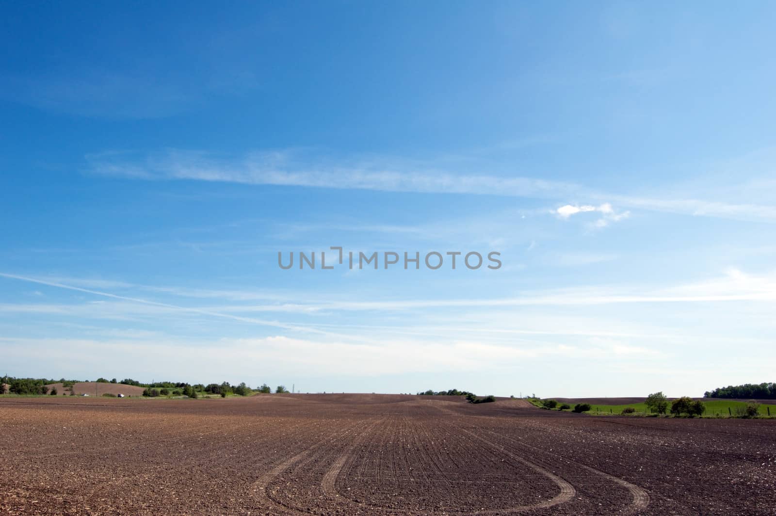 Agriculture farm under high blue sky