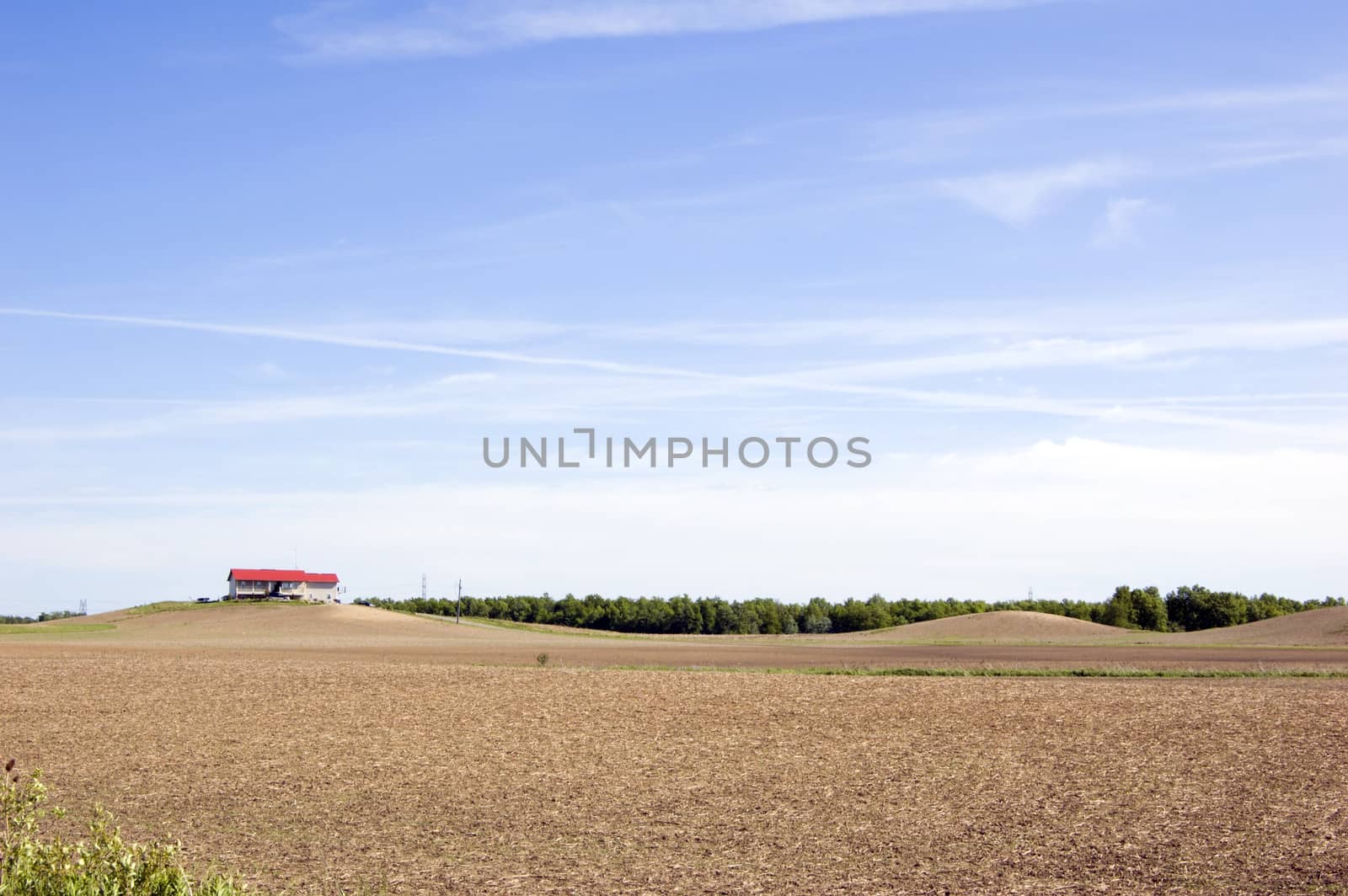 Agriculture farm under high blue sky