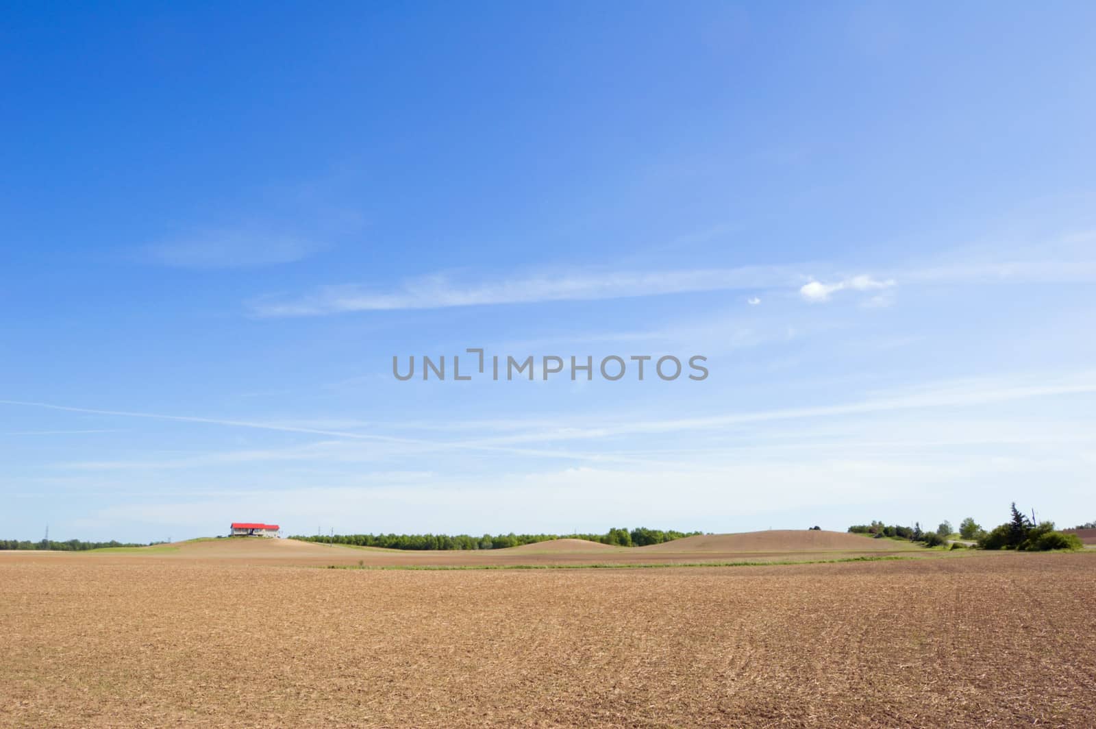 Agriculture farm under high blue sky