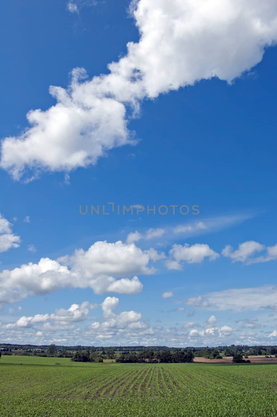 cultivated farmers field by PavelS