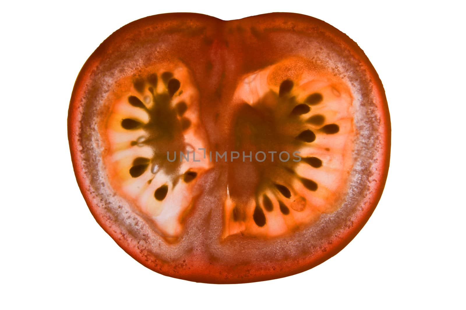 semitransparent slice of tomato on white background