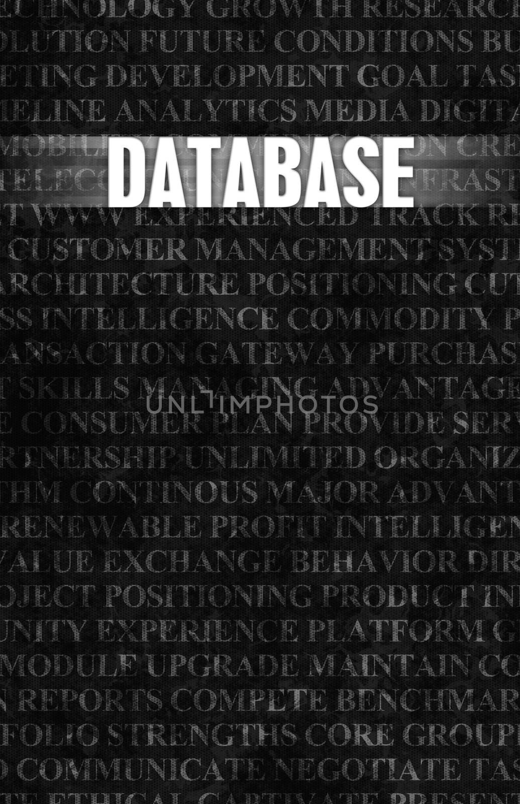 Database in Business as Motivation in Stone Wall