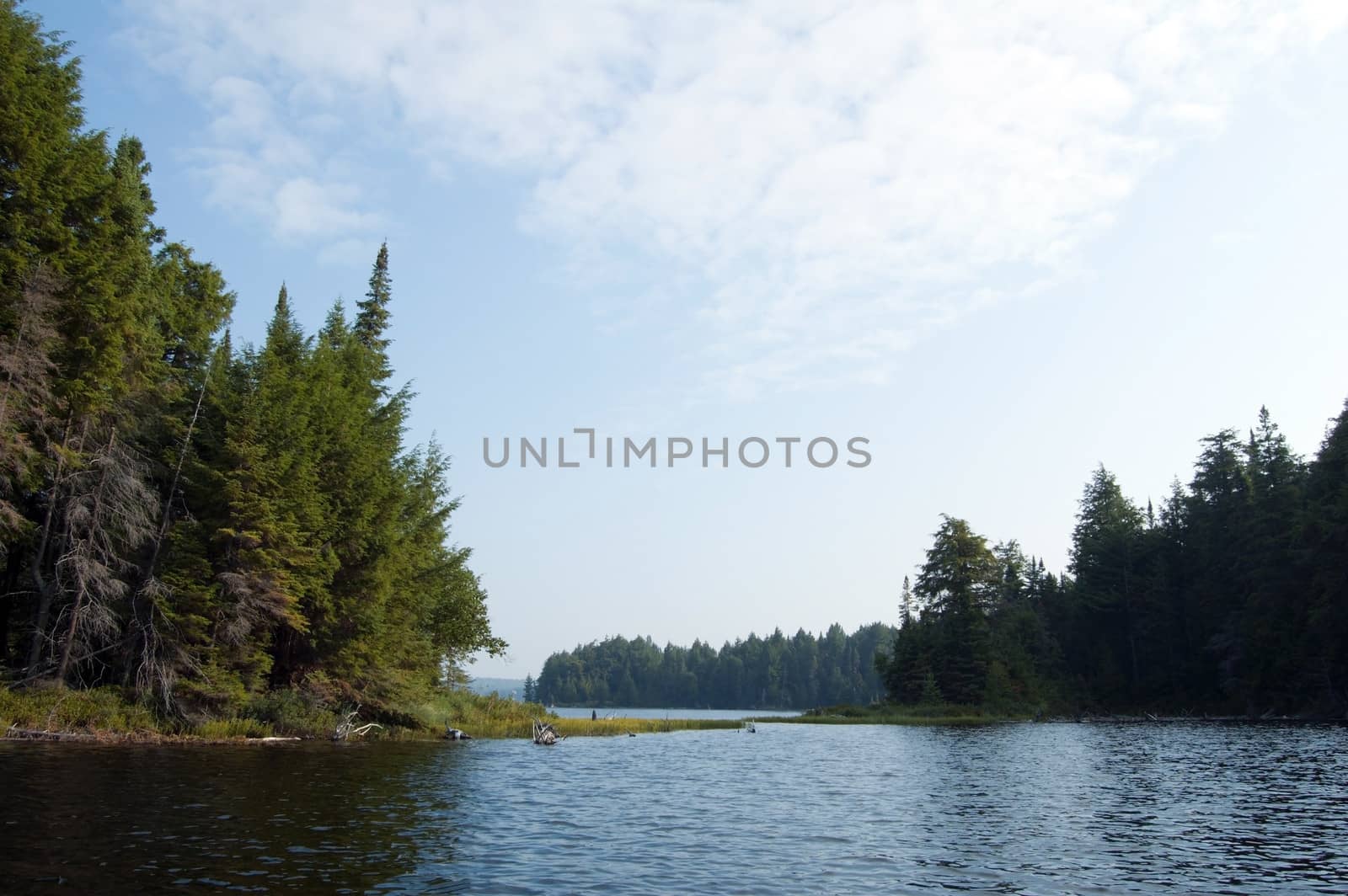 Sunrise on the forest lake in Algonquin Park. Lost Joe Lake
