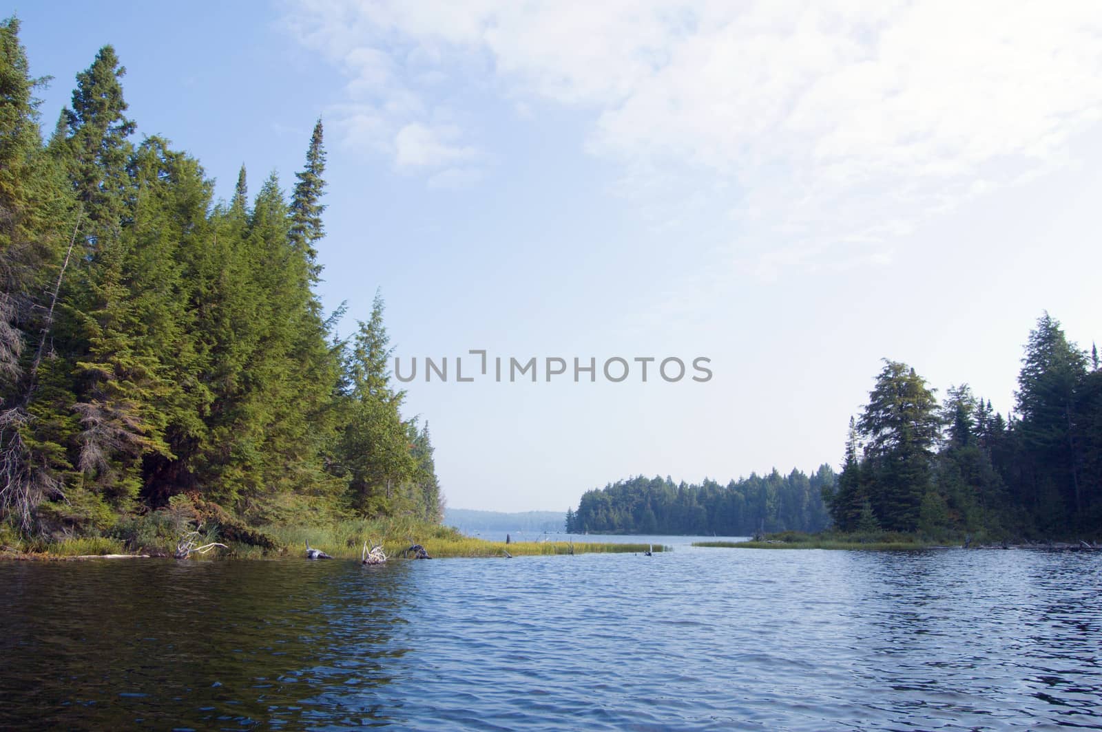 Wetland part of Otterslide Lake in Algolquin Park