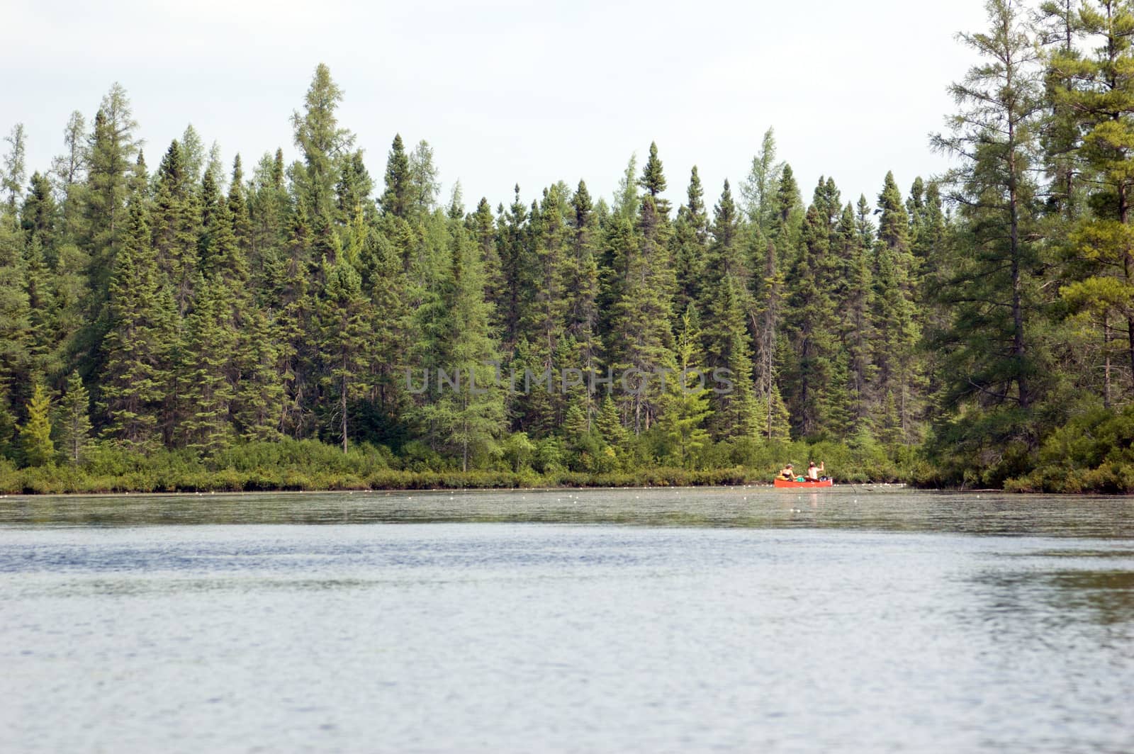 Canoeing Wetland part of Otterslide Lake in Algolquin Park