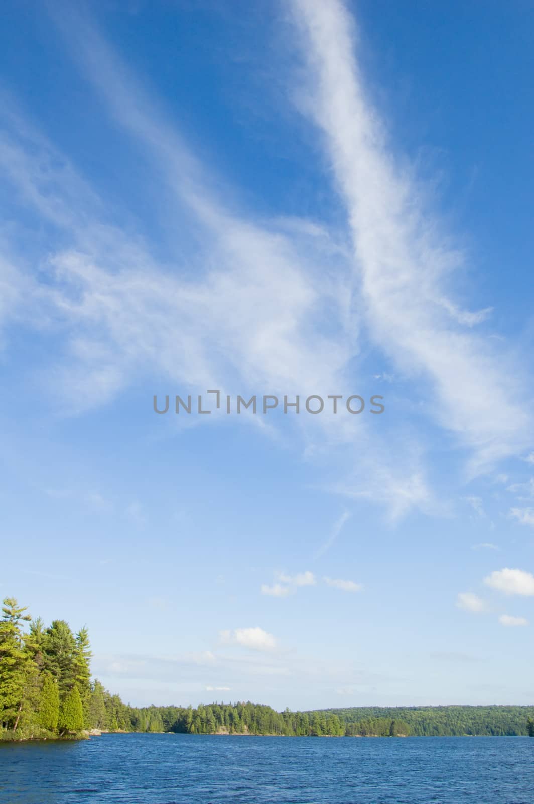 White Throut Lake in sunny day in Algonquin Park, Ontario