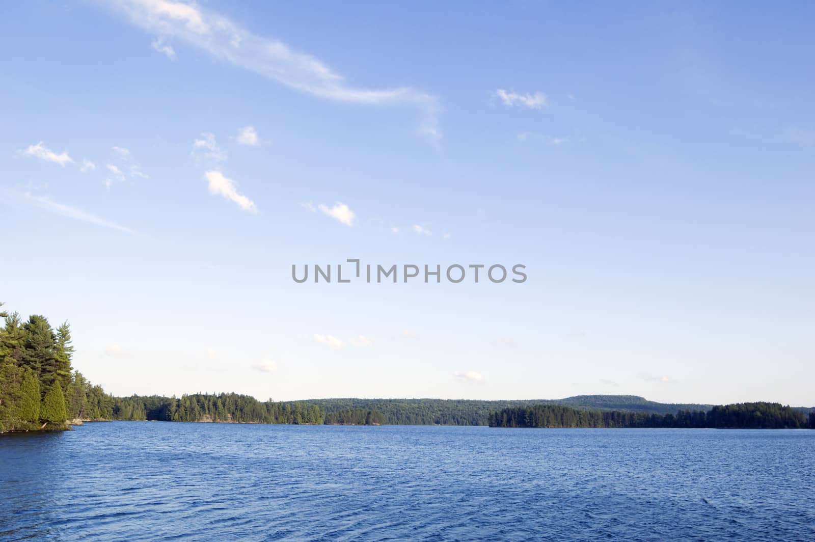 White Trout Lake in sunny day in Algonquin Park, Ontario
