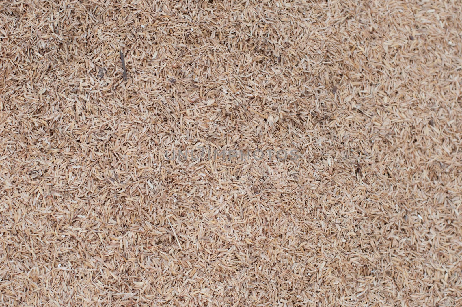the rice husk for making fertilizer