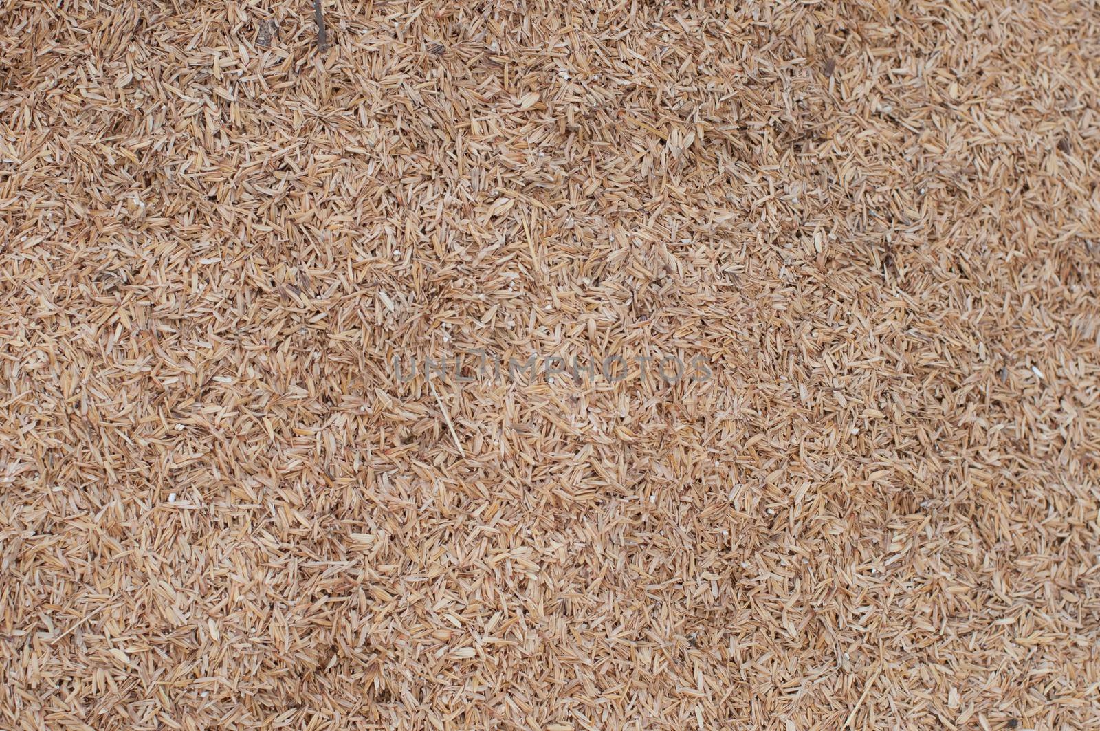 the rice husk for making fertilizer