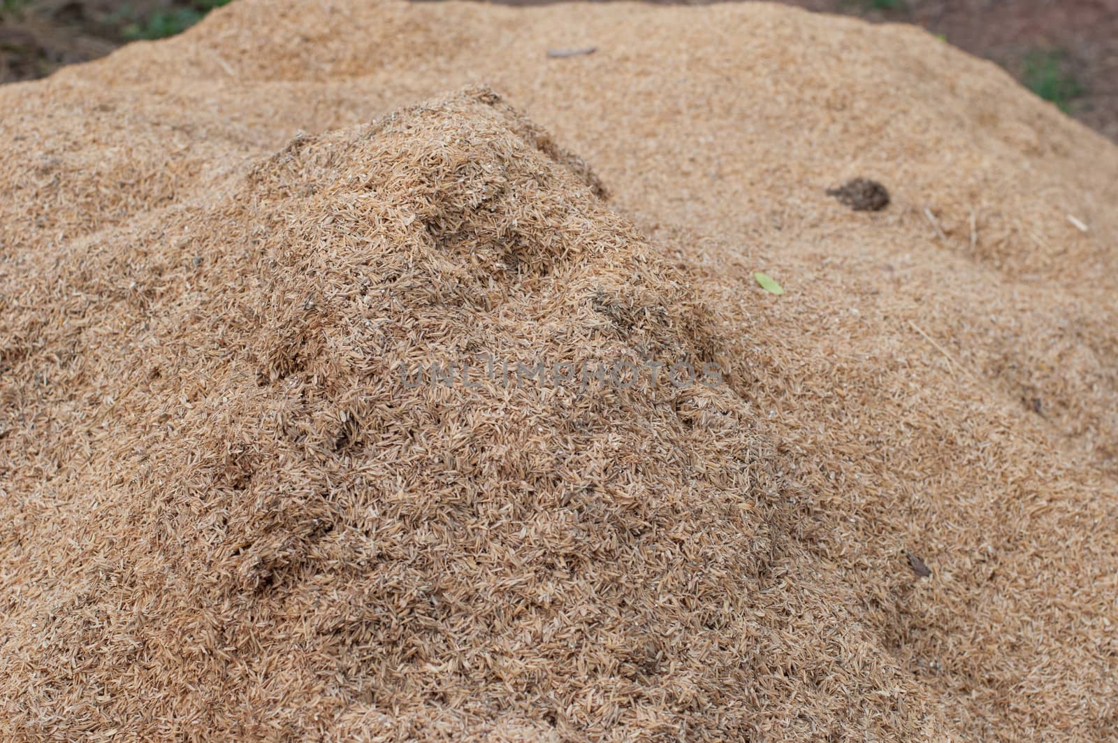 the rice husk for making fertilizer