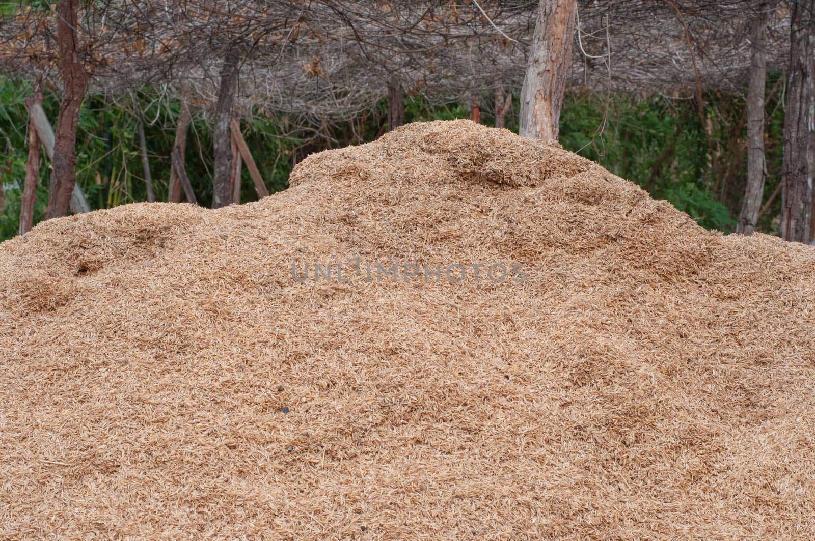 the rice husk for making fertilizer