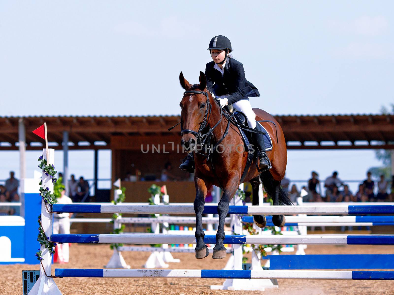 Competitions on a show jumping. by Azaliya