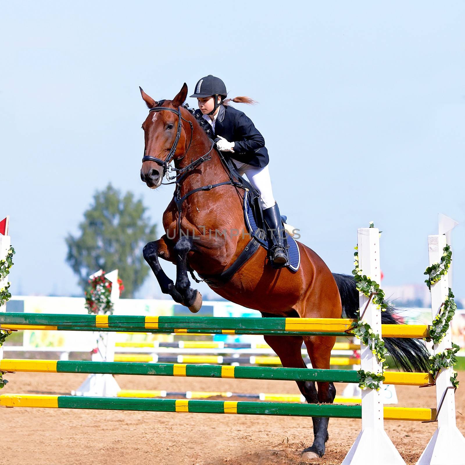 Equestrian sport. Overcoming of an obstacle. The sportswoman on a horse. The horsewoman on a red horse. Equestrianism. Horse riding. Horse racing. Rider on a horse.