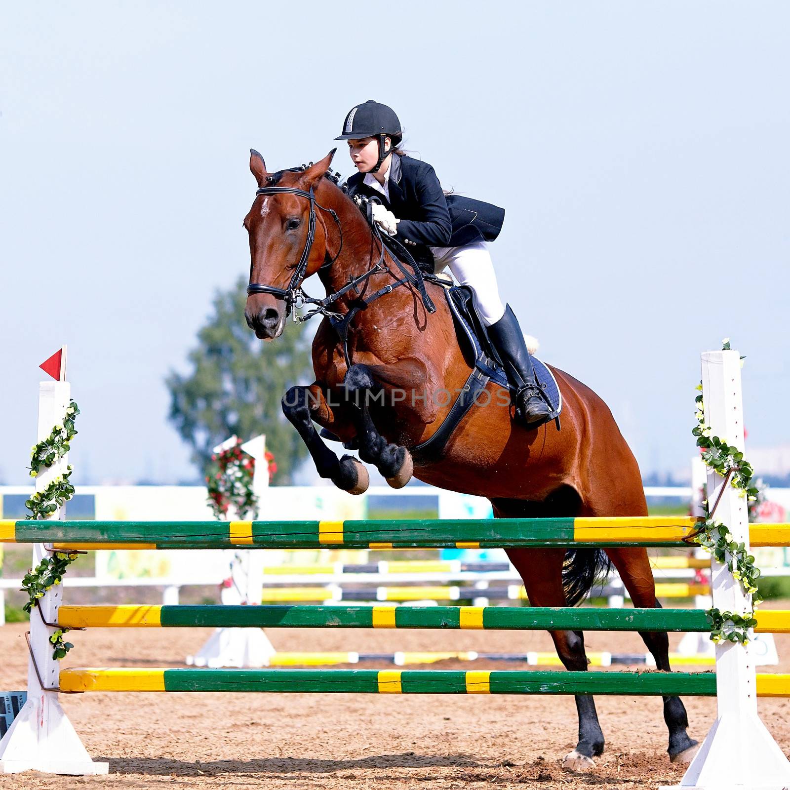 Equestrian sport competitions. by Azaliya