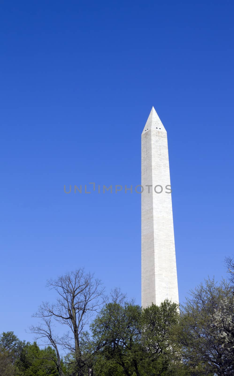 Washington Monument in Washington D.C. soaring into the blue sky 