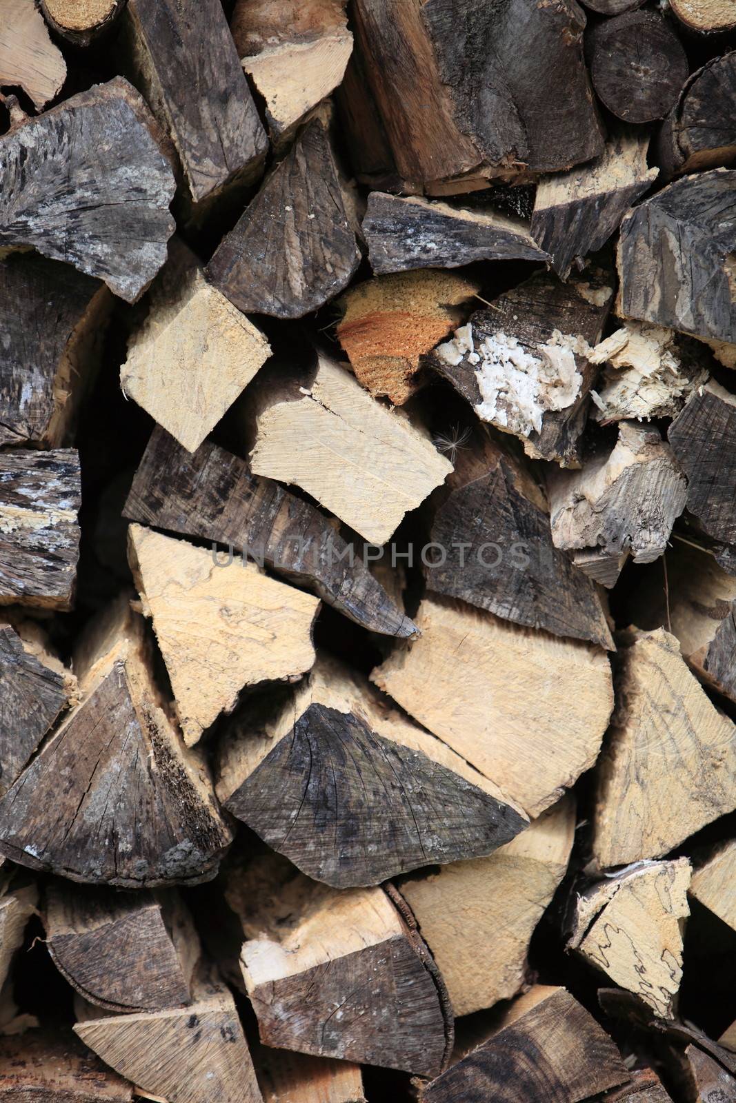 Stockpile of chopped wood showing the cut cross-sections of the logs stored for winter heating