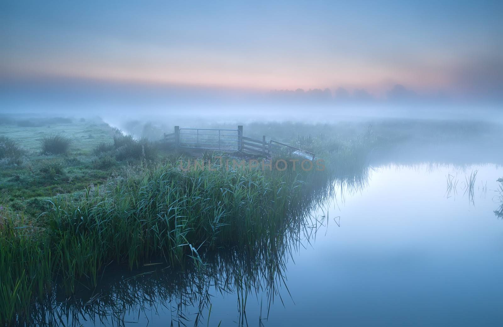 fog over river in farmland at sunrise