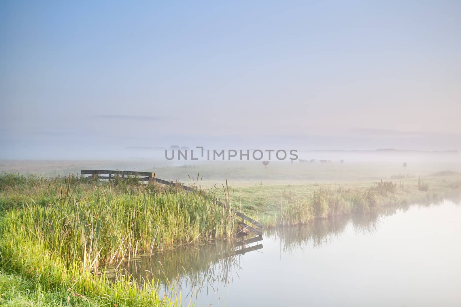 misty morning in farmland over river