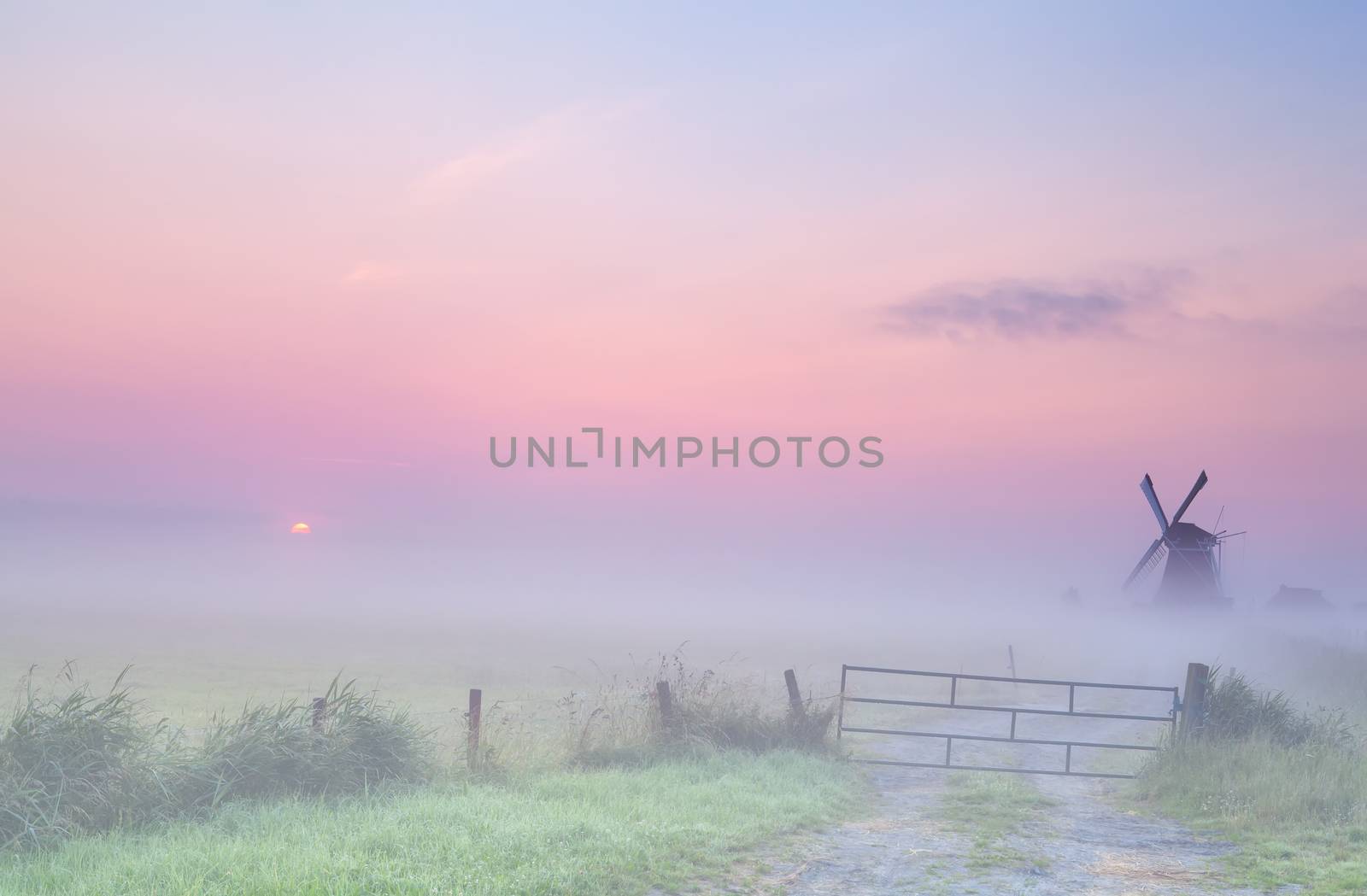 misty sunrise on Dutch farmland with windmill