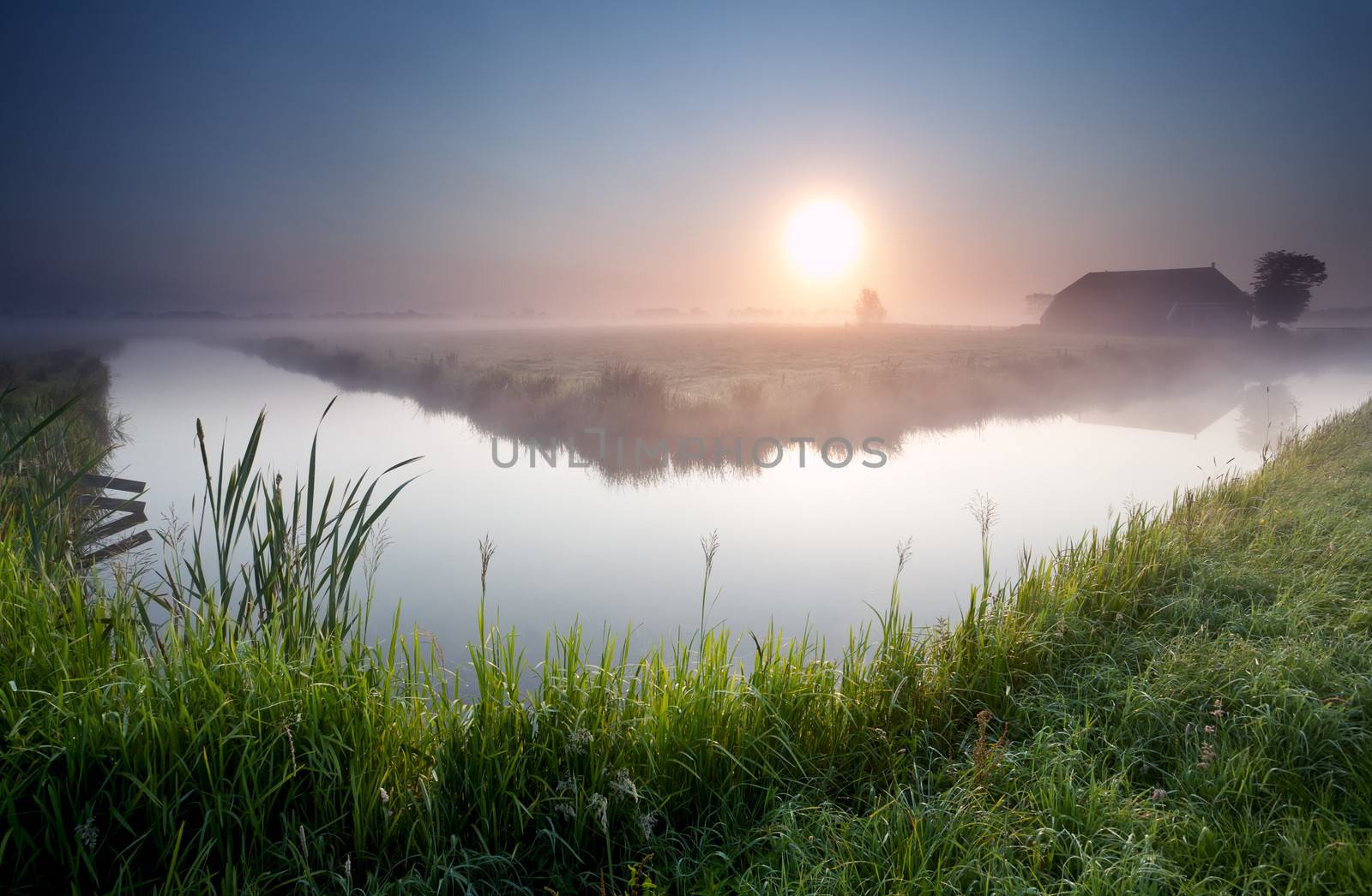 misty summer sunrise on Dutch farmland