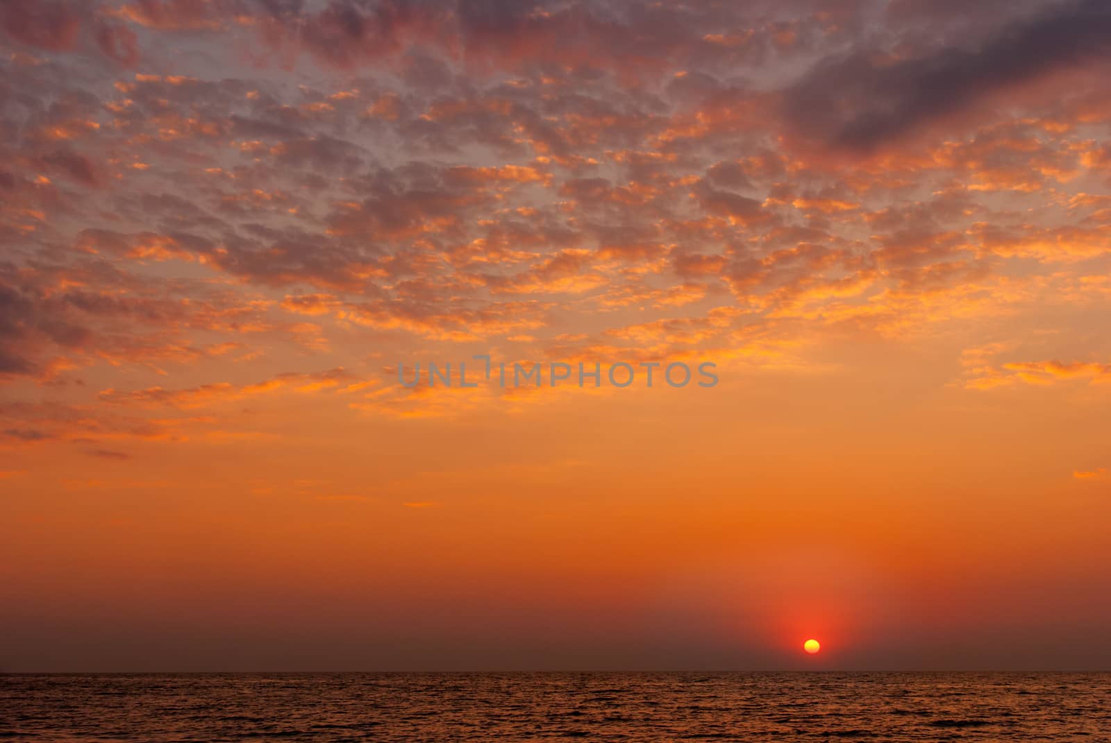 red purple sunset over the sea