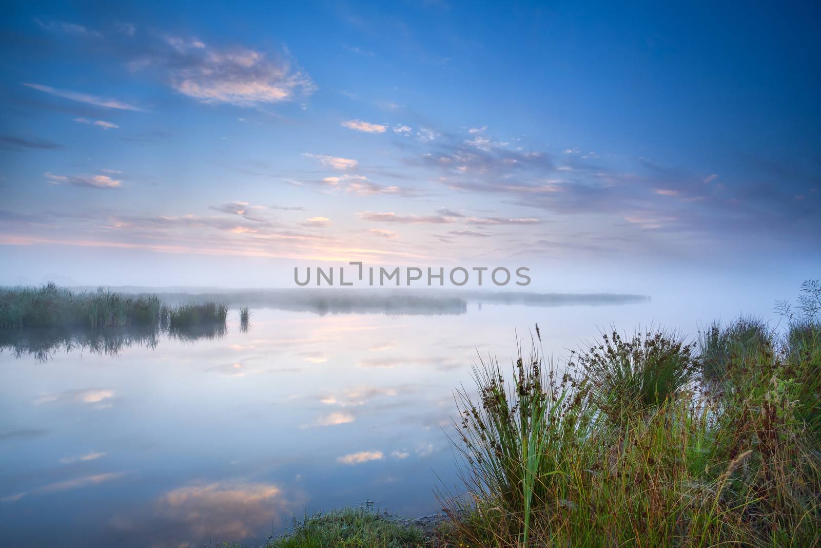 calm misty morning over wild lake, Drenthe, Netherlands