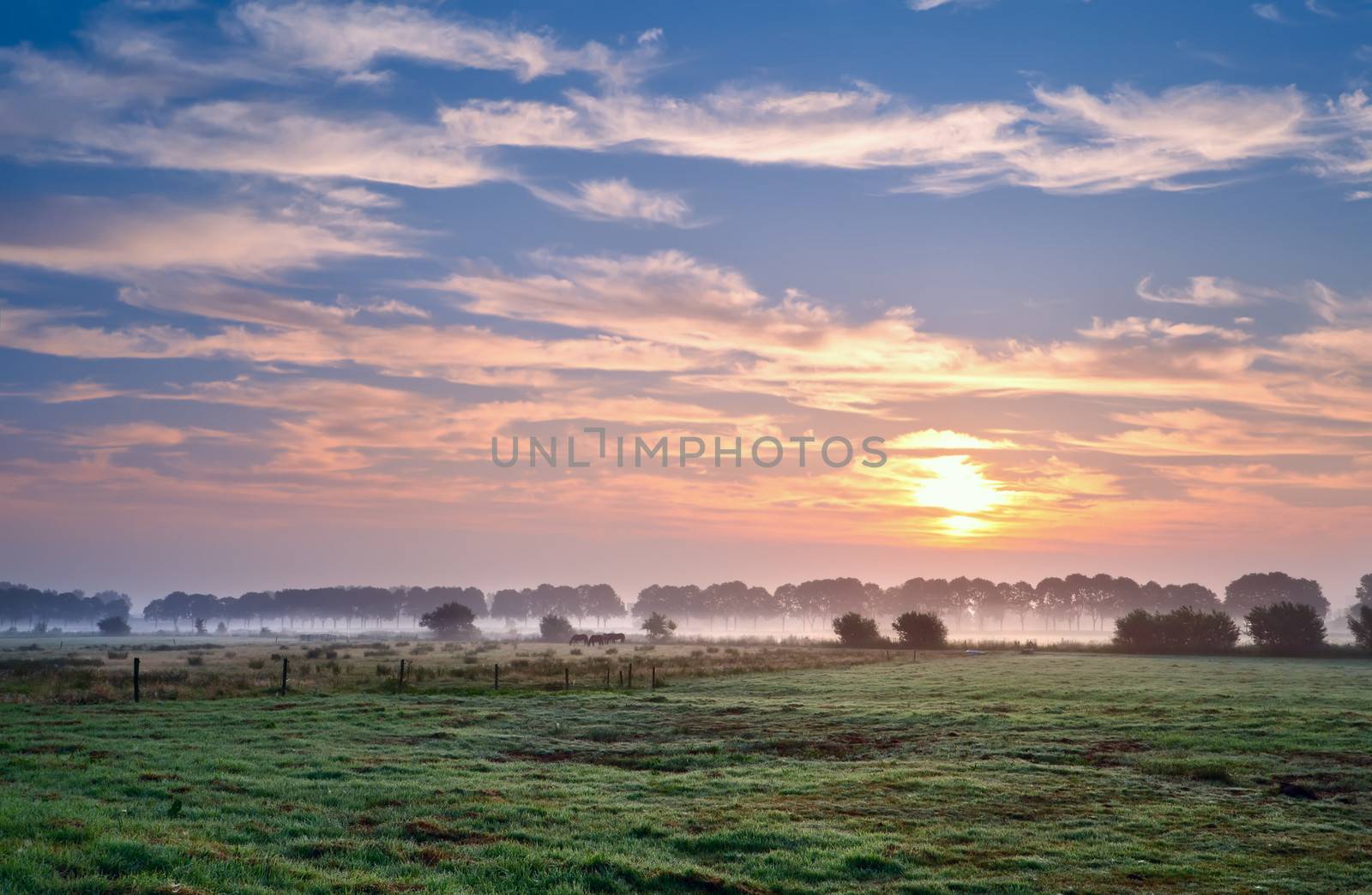 summer sunrise over Dutch pastora, Groningen, Netherlands