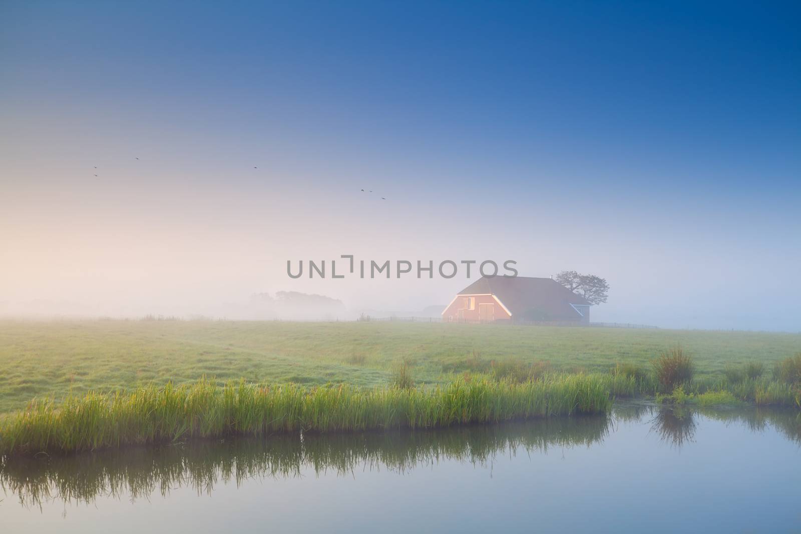 little house in morning fog by river, Netherlands