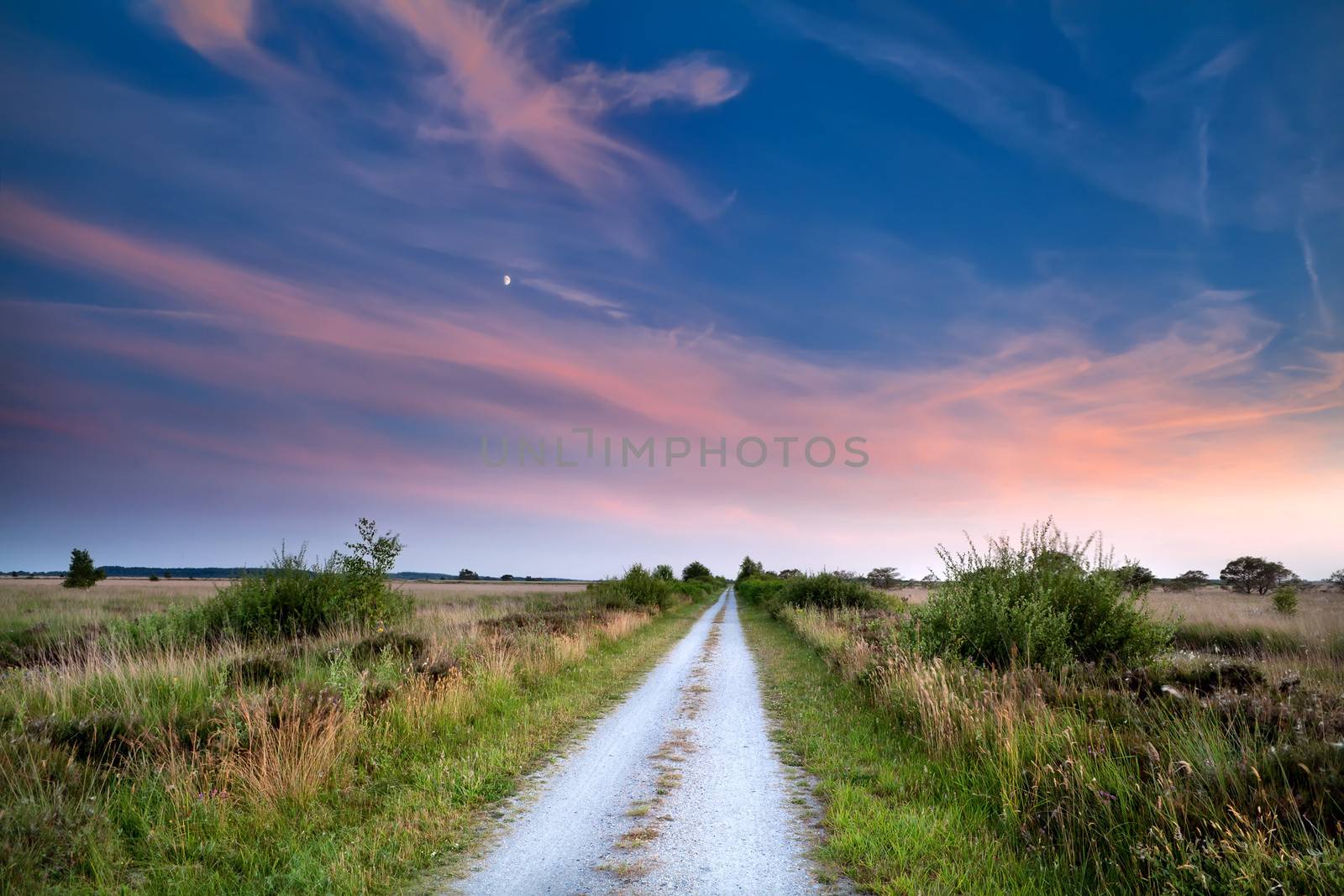 countryside road at dramatic summer sunset