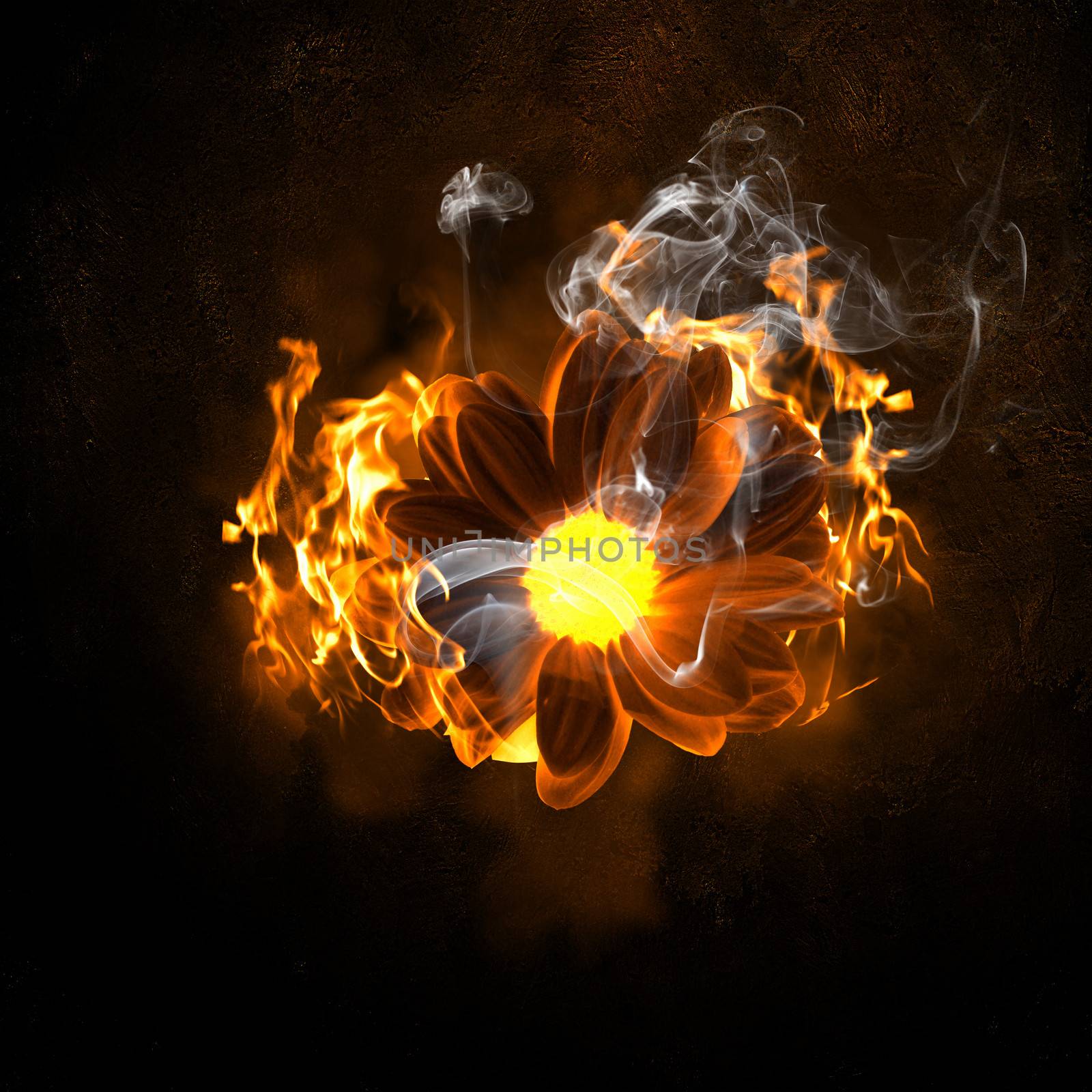 Illustration of flower in fire flames. Danger concept