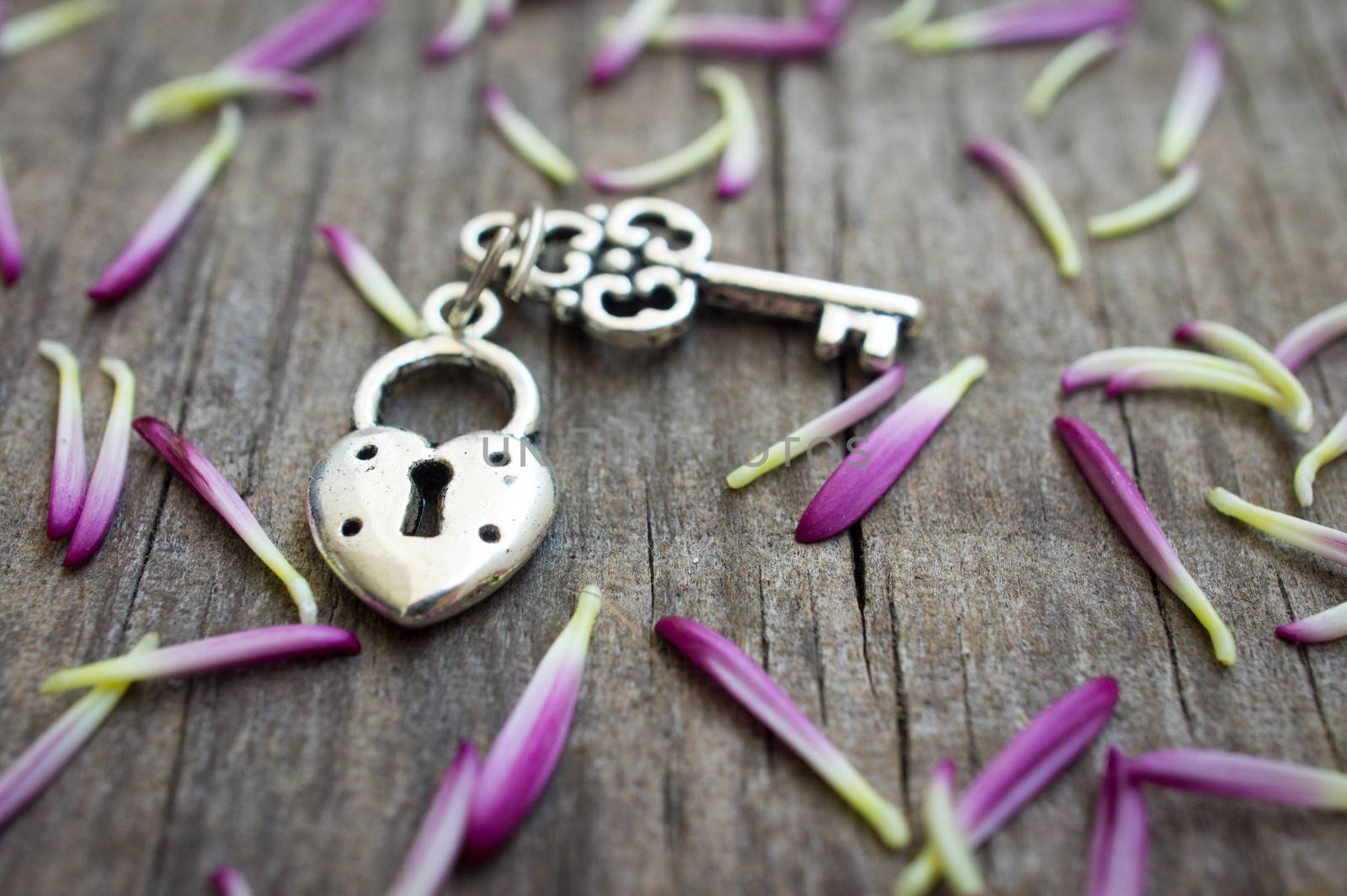 Key with heart shaped lock charm on wooden background.