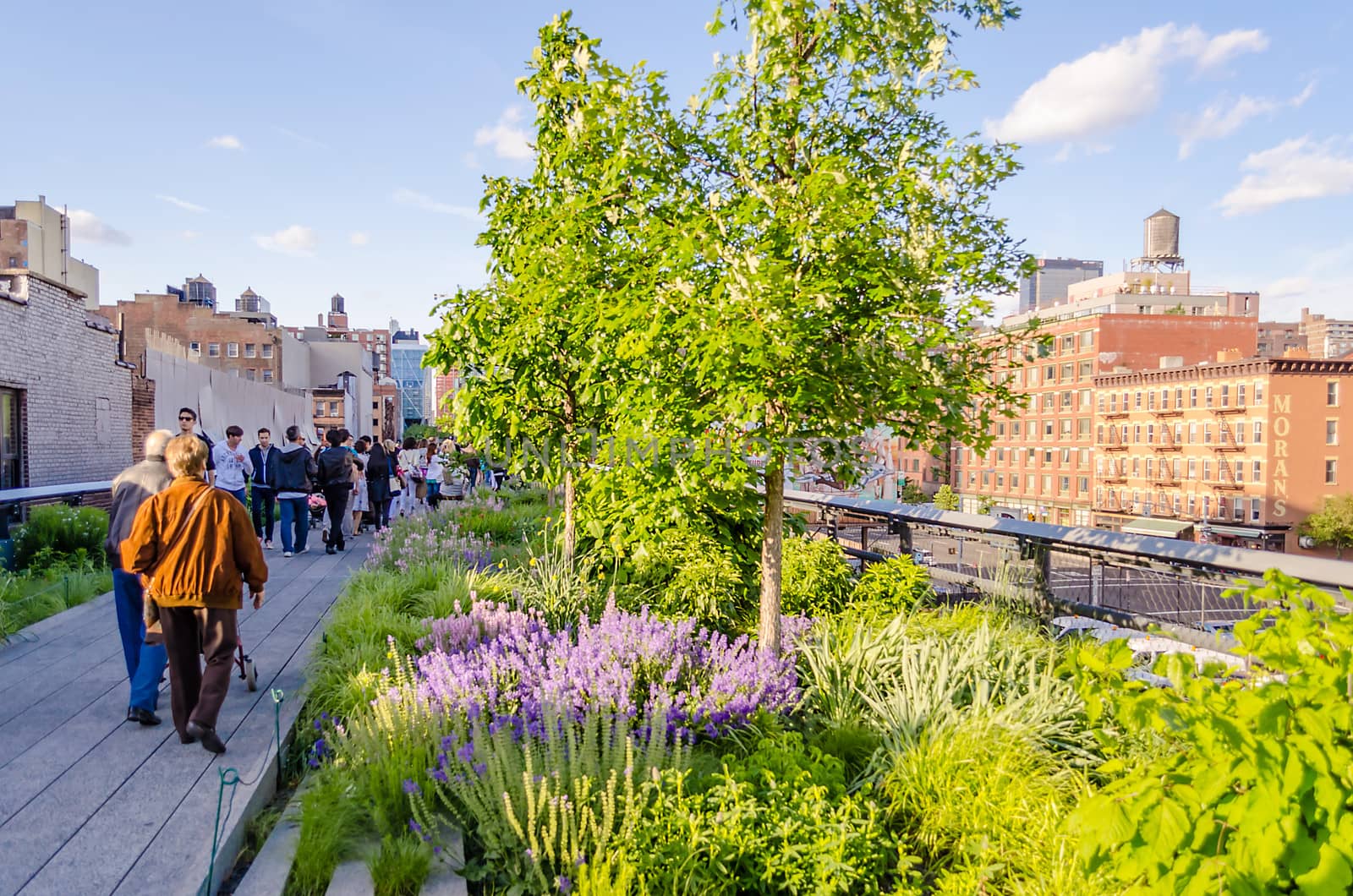 NEW YORK - CIRCA MAY 2013: The High Line Park, New York, circa May 2013. The High Line is a popular linear park built on the elevated train tracks above Tenth Ave in New York City.