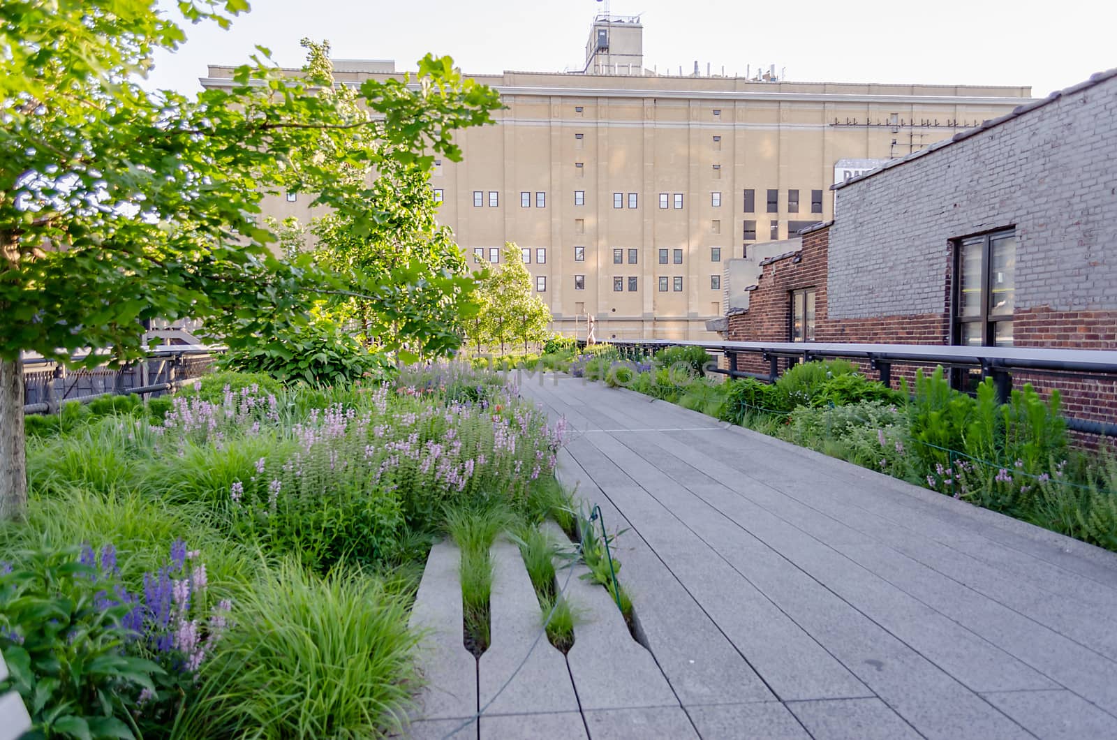 High Line Park, New York by marcorubino