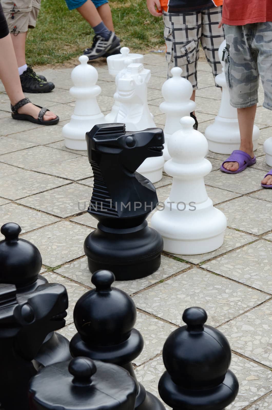 garden chess by sarkao