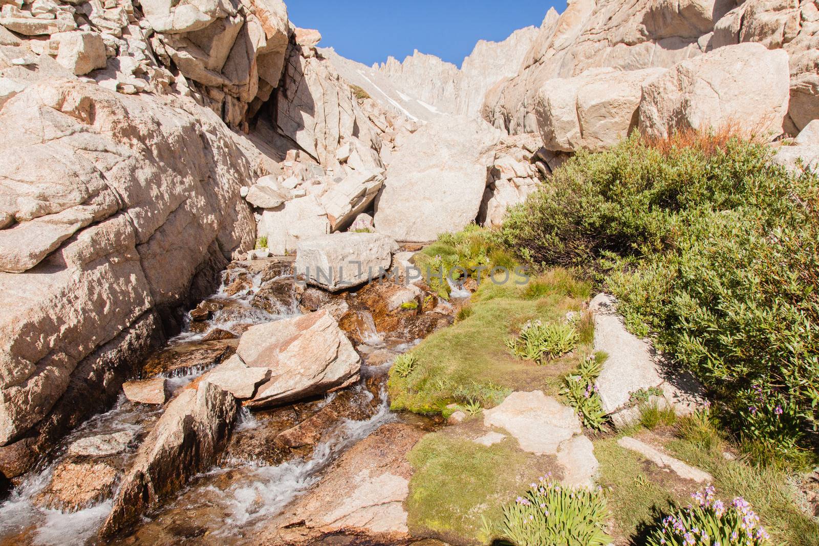 Mt Whitney Trail by melastmohican