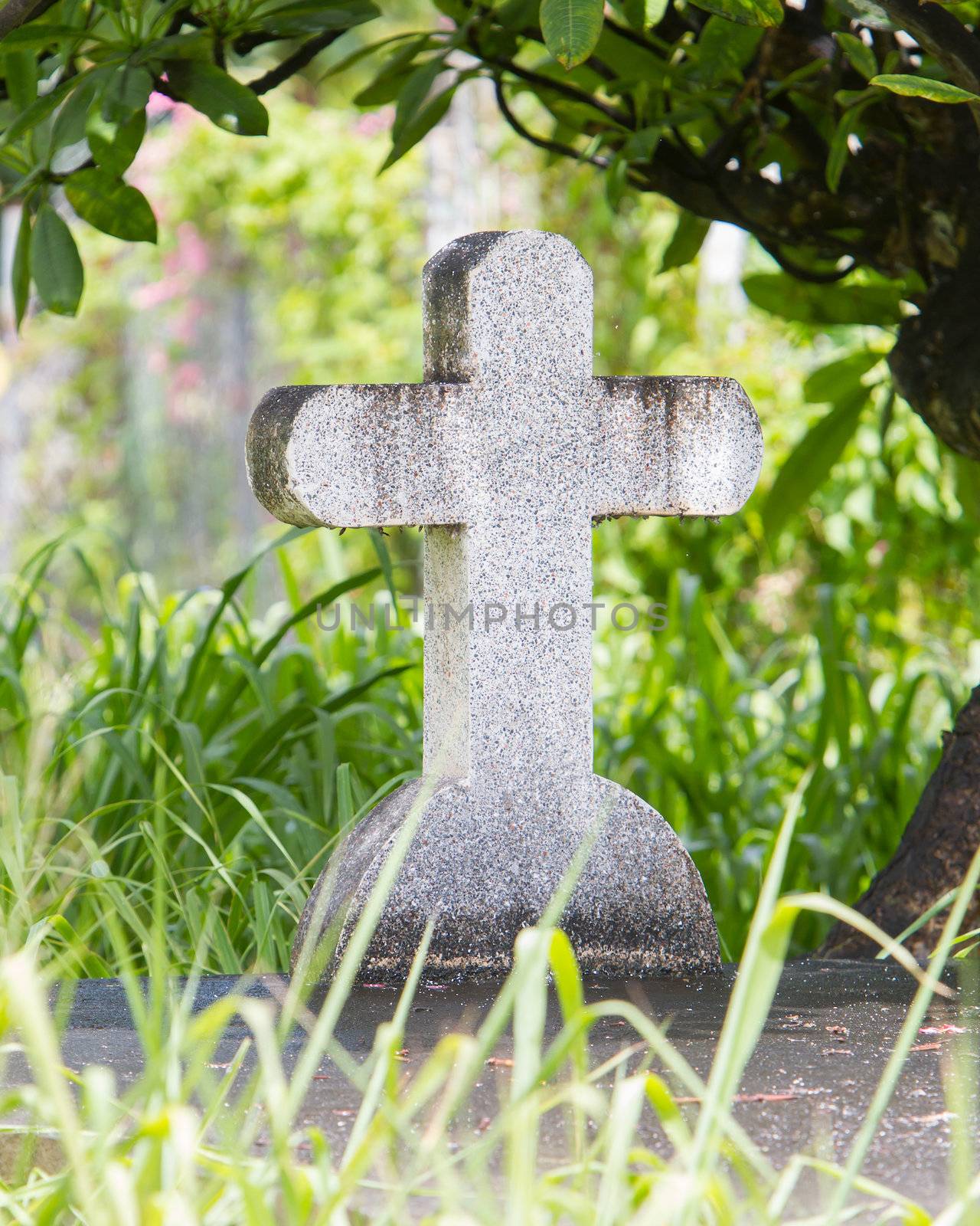 Cross on tombstone under a green tree