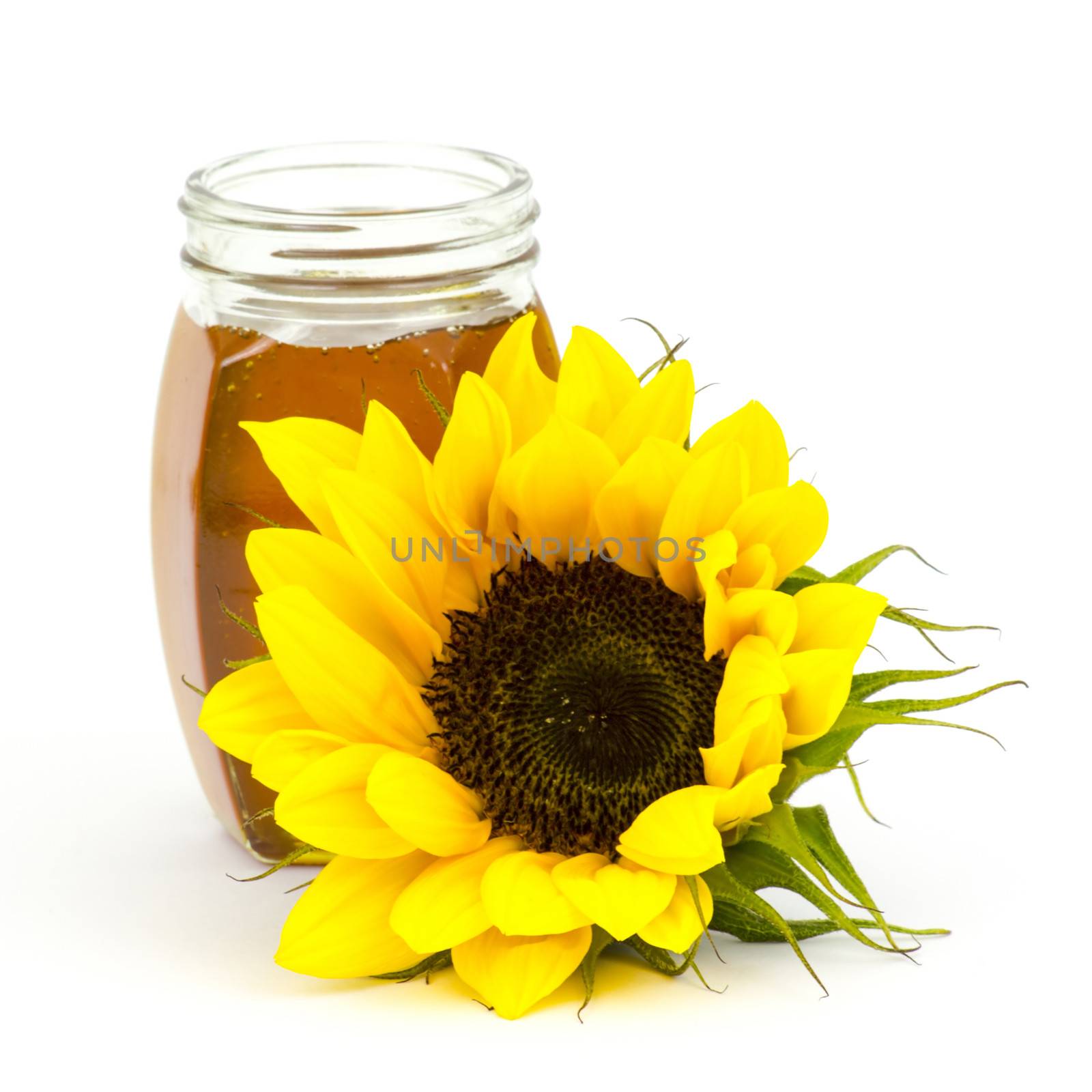 honey and sunflower on white background by miradrozdowski