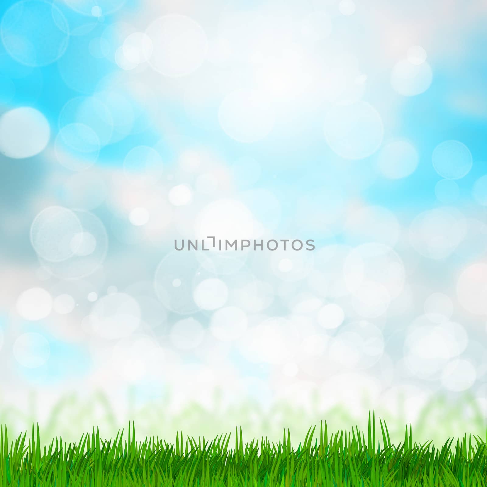 Green summer meadow with sun glare and rays